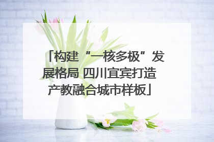 构建“一核多极”发展格局 四川宜宾打造产教融合城市样板