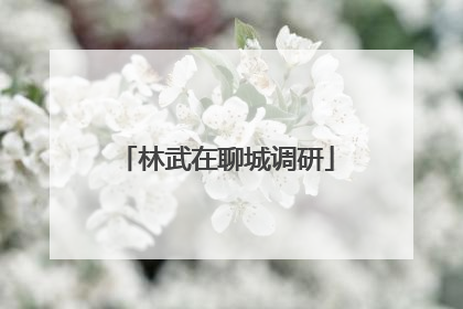 林武在聊城调研