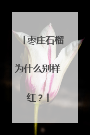 枣庄石榴为什么别样红？
