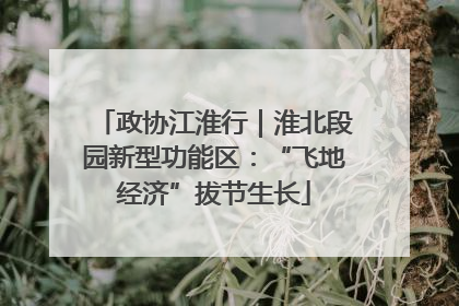 政协江淮行｜淮北段园新型功能区：“飞地经济”拔节生长