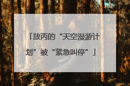 敖丙的“天空漫游计划”被“紧急叫停”
