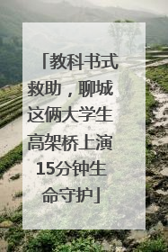 教科书式救助，聊城这俩大学生高架桥上演15分钟生命守护