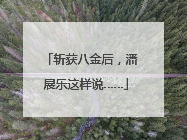 斩获八金后，潘展乐这样说……