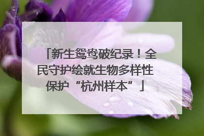 新生鸳鸯破纪录！全民守护绘就生物多样性保护“杭州样本”