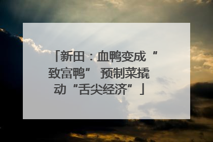 新田：血鸭变成“致富鸭” 预制菜撬动“舌尖经济”