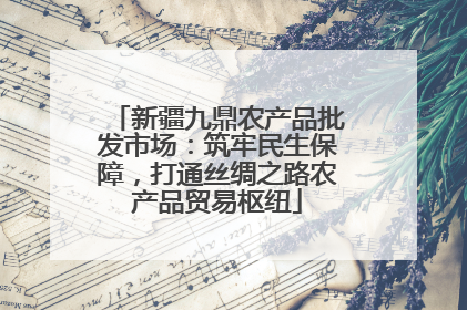 新疆九鼎农产品批发市场：筑牢民生保障，打通丝绸之路农产品贸易枢纽