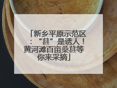 新乡平原示范区：“葚”是诱人！黄河滩百亩桑葚等你来采摘