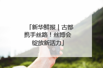新华鲜报｜古都携手丝路！丝博会绽放新活力