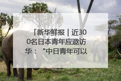 新华鲜报｜近300名日本青年应邀访华：“中日青年可以创造更好的未来”