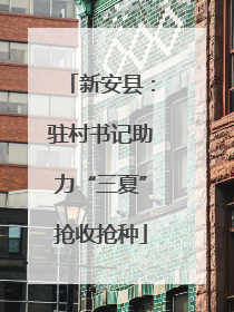 新安县：驻村书记助力“三夏”抢收抢种