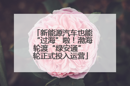 新能源汽车也能“过海”啦！渤海轮渡“绿安通” 轮正式投入运营