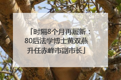 时隔8个月再履新：80后法学博士黄双燕升任赤峰市副市长