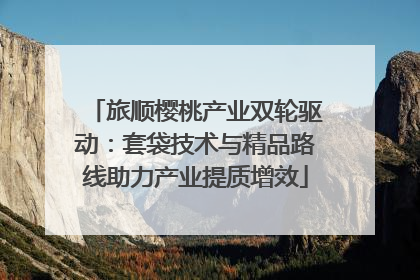 旅顺樱桃产业双轮驱动：套袋技术与精品路线助力产业提质增效