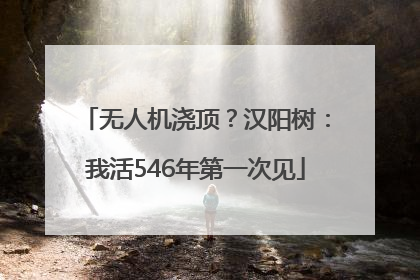 无人机浇顶？汉阳树：我活546年第一次见