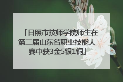 日照市技师学院师生在第二届山东省职业技能大赛中获3金5银1铜