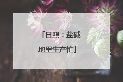 日照：盐碱地里生产忙