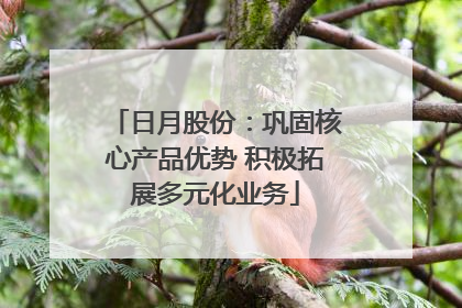 日月股份：巩固核心产品优势 积极拓展多元化业务