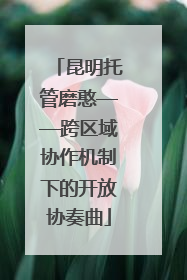 昆明托管磨憨——跨区域协作机制下的开放协奏曲