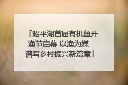 昭平湖首届有机鱼开渔节启幕 以渔为媒 谱写乡村振兴新篇章