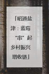 昭通盐津：蓝莓“串”起乡村振兴增收链