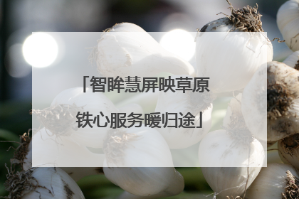 智眸慧屏映草原 铁心服务暖归途
