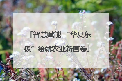 智慧赋能 “华夏东极”绘就农业新画卷