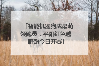智能机器狗成最萌领跑员，平阳红色越野跑今日开赛