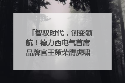 智驭时代，创变领航！德力西电气首席品牌官王策荣膺虎啸奖年度品牌人物