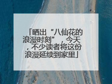晒出“八仙花的浪漫时刻”，今天，不少读者将这份浪漫延续到家里