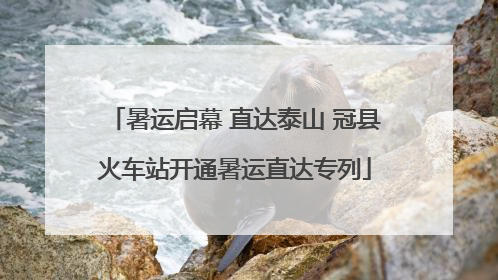 暑运启幕 直达泰山 冠县火车站开通暑运直达专列
