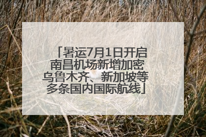暑运7月1日开启 南昌机场新增加密乌鲁木齐、新加坡等多条国内国际航线