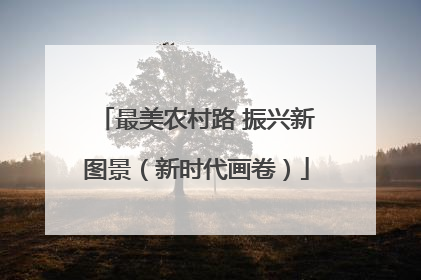 最美农村路 振兴新图景（新时代画卷）