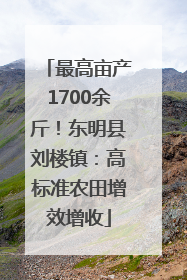 最高亩产1700余斤！东明县刘楼镇：高标准农田增效增收