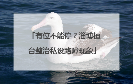 有位不能停？淄博桓台整治私设路障现象