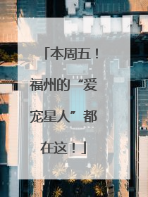 本周五！福州的“爱宠星人”都在这！