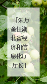 朱万奎任湖北省经济和信息化厅厅长