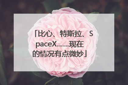 比心、特斯拉、SpaceX……现在的情况有点微妙