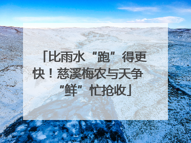 比雨水“跑”得更快！慈溪梅农与天争“鲜”忙抢收