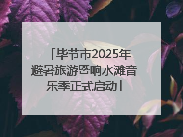 毕节市2025年避暑旅游暨响水滩音乐季正式启动