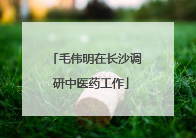 毛伟明在长沙调研中医药工作