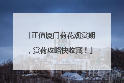 正值厦门荷花观赏期，赏荷攻略快收藏！