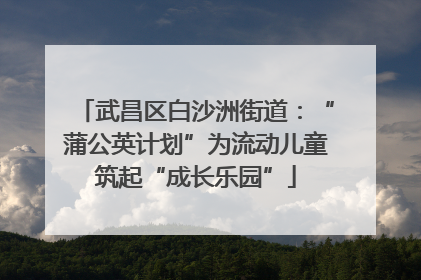 武昌区白沙洲街道：“蒲公英计划”为流动儿童筑起“成长乐园”
