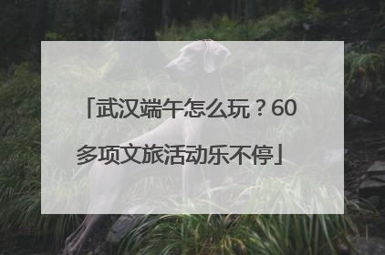 武汉端午怎么玩？60多项文旅活动乐不停