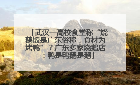 武汉一高校食堂称“烧鹅饭是广东俗称，食材为烤鸭”？广东多家烧鹅店：鸭是鸭鹅是鹅