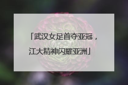 武汉女足首夺亚冠，江大精神闪耀亚洲