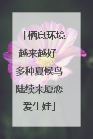 栖息环境越来越好 多种夏候鸟陆续来厦恋爱生娃