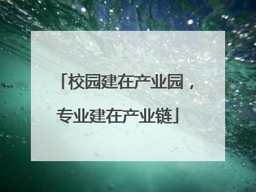 校园建在产业园，专业建在产业链