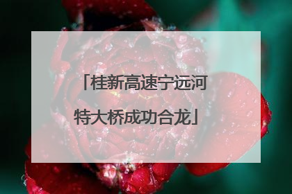 桂新高速宁远河特大桥成功合龙