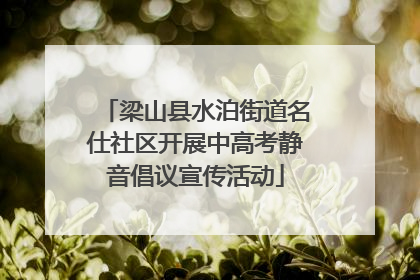 梁山县水泊街道名仕社区开展中高考静音倡议宣传活动