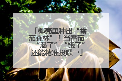 椰壳里种出“番茄森林”！当番茄“渴了”“饿了”还能精准投喂→